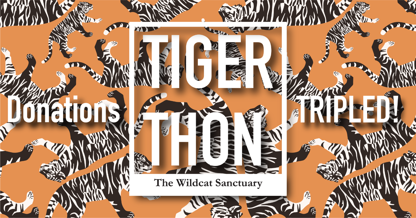 Tigerthon-300ppi-Horizontal%20Banner%20BLANK(1).png